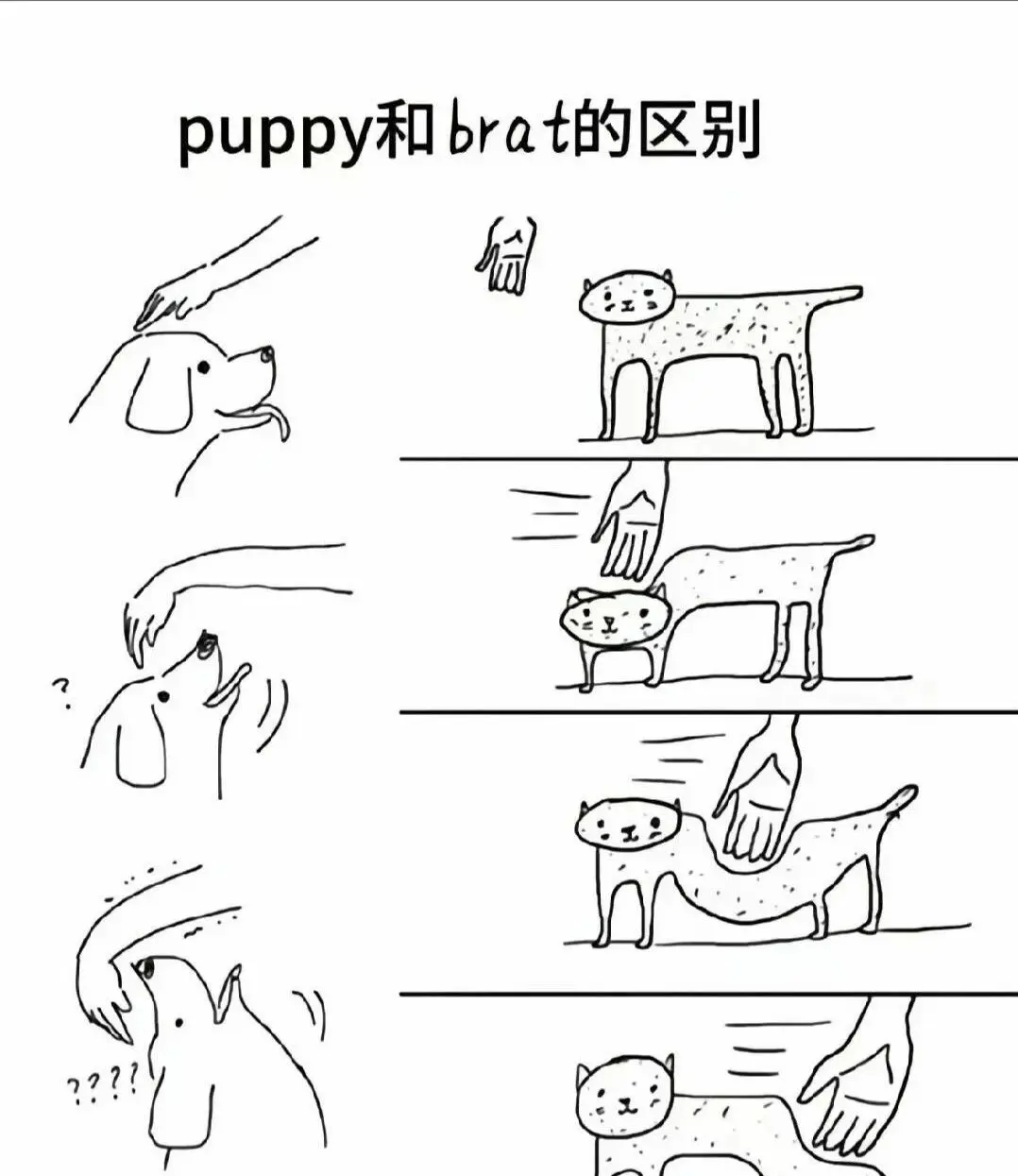 探索s属性的魅力与禁忌，开启你的另类体验之旅 一