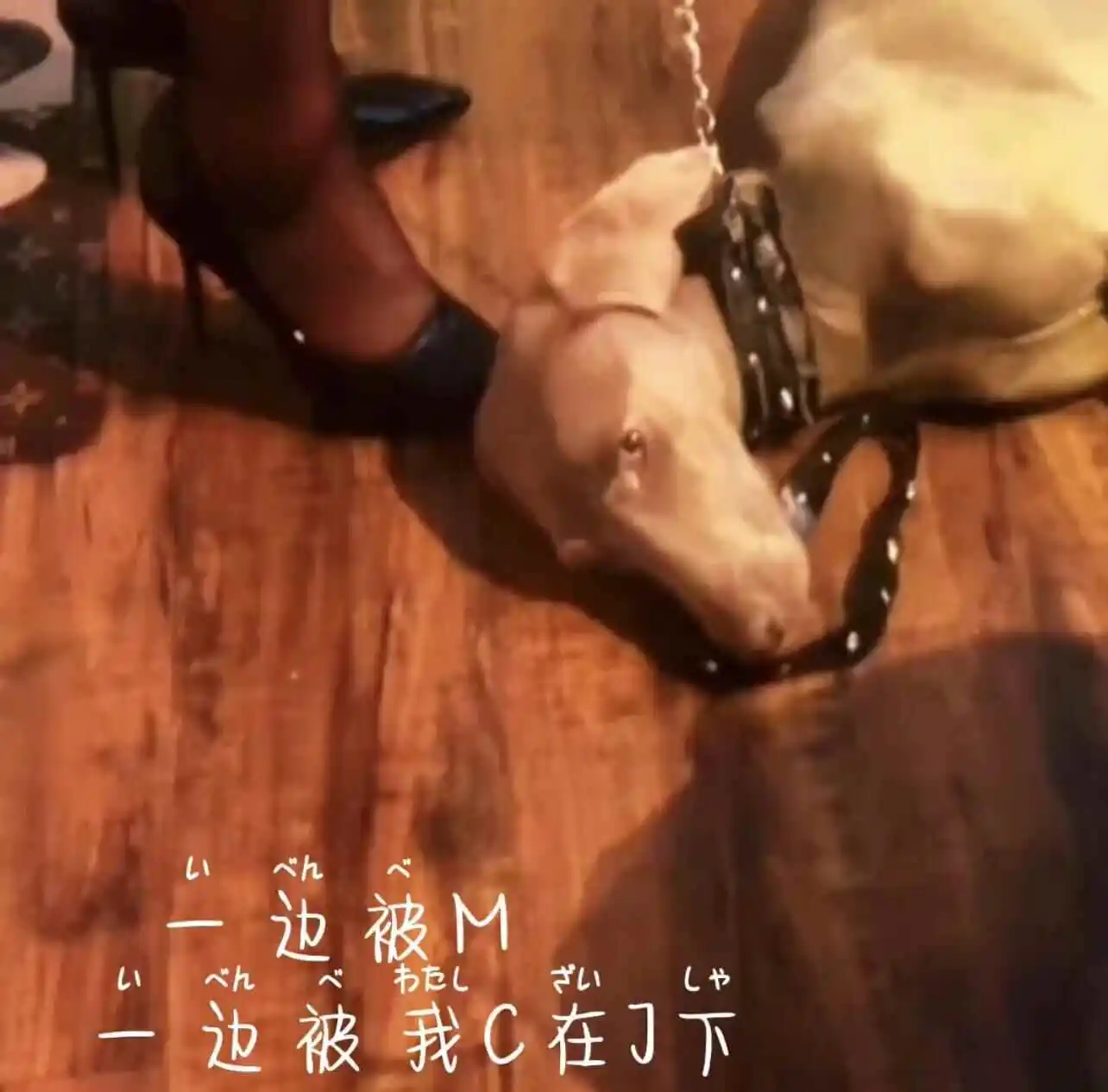 “brat”是什么?揭秘BDSM中的小恶魔角色与他们的魅力 一