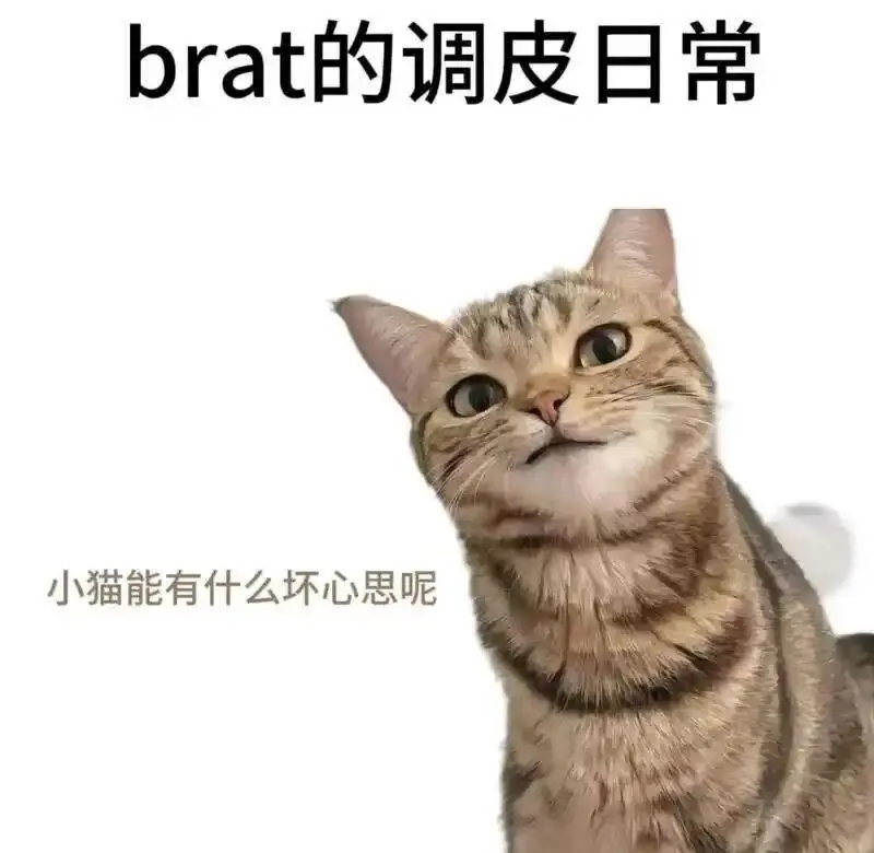 “sub”到底是什么？揭开秘密的面纱！ 一