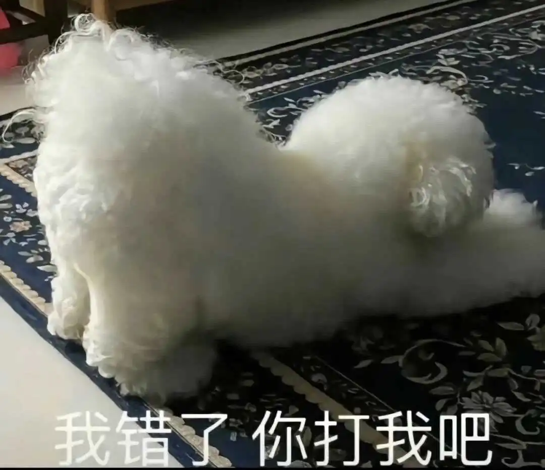 “女王”在BDSM中究竟代表什么？ 一