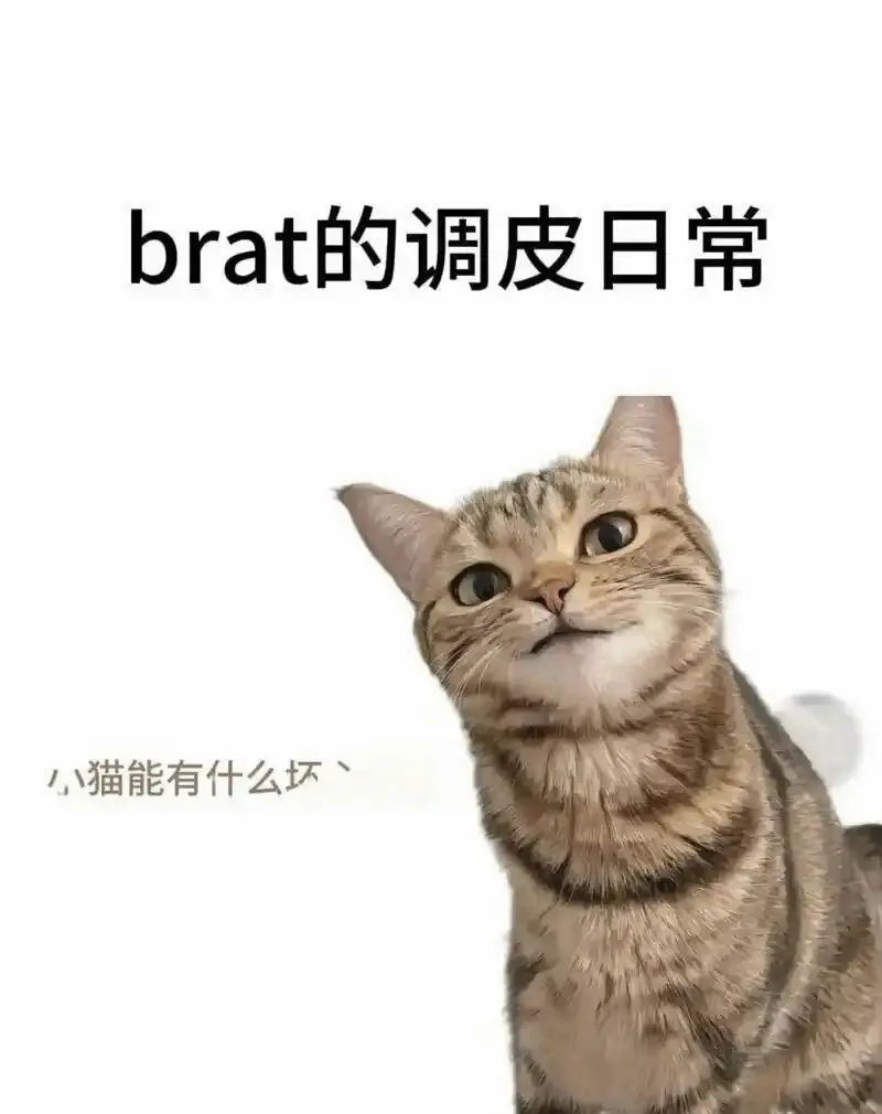 “恋足癖”揭秘:你是否也对美丽足部爱不释手? 一
