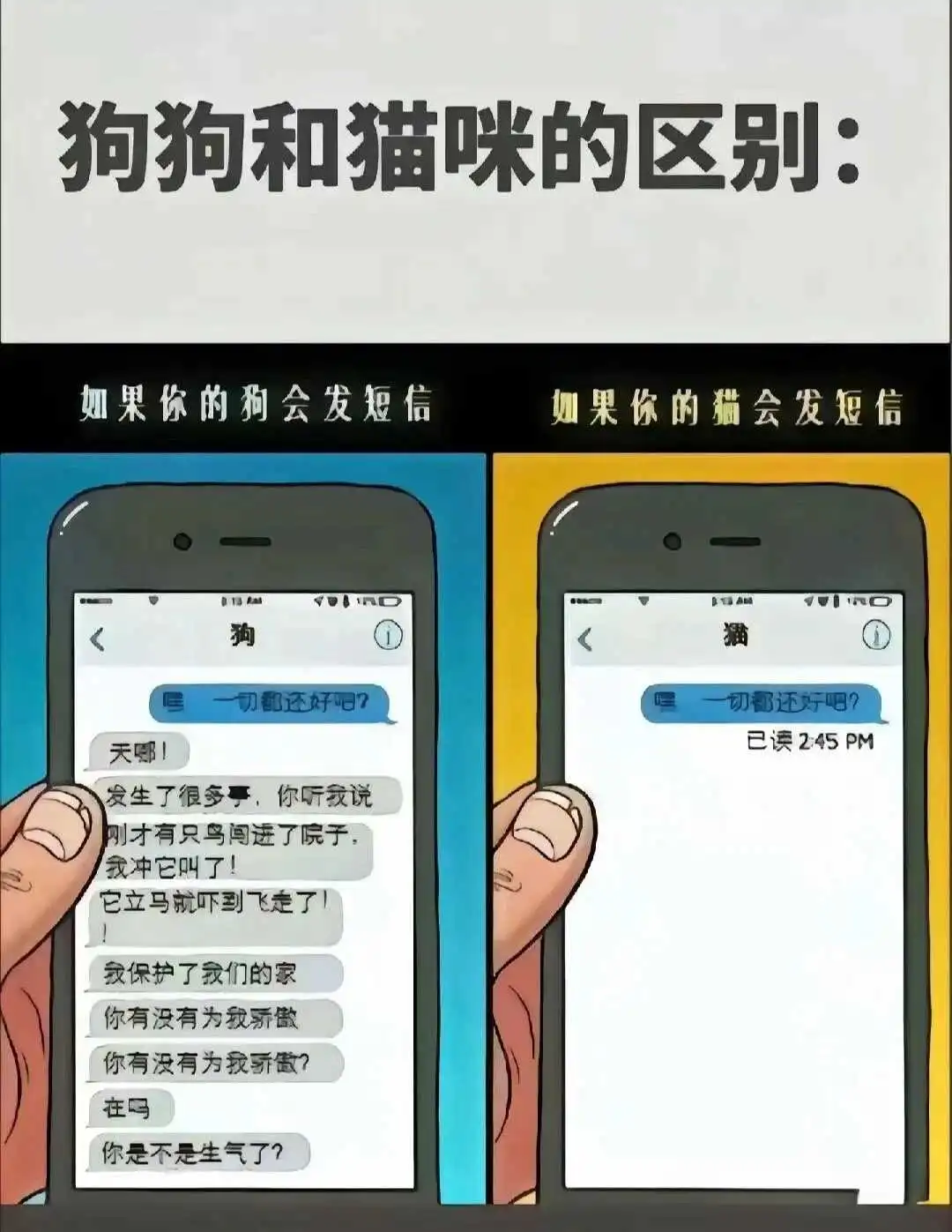 “sub”到底是什么?探索你可能不知道的BDSM世界! 一