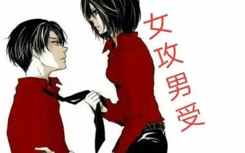 西檬之家k9是什么?字母圈新人入圈指南 一