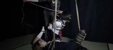 西檬之家字母圈的Dom到底是什么意思？ 一