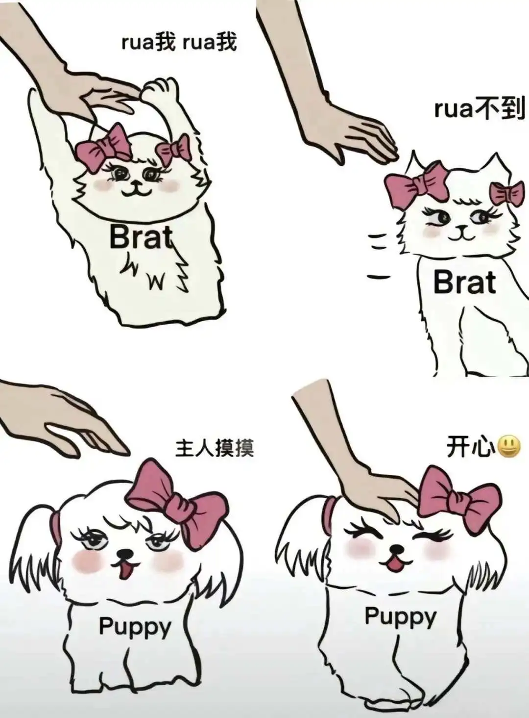 西檬之家斯慕圈是什么？新人入圈指南 一
